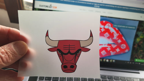 Chicago Bulls logo transfert coloré thermocollant pour flocage (