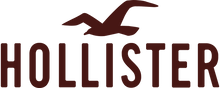 Charger l'image dans la galerie, Hollister Logo Iron-on Sticker (heat transfer)