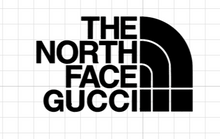 Charger l&#39;image dans la galerie, Logo North Face x Gucci 