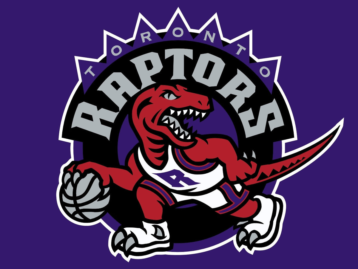 Toronto Raptors Color Iron-on - Heat Transfer Logo – Customisation Club
