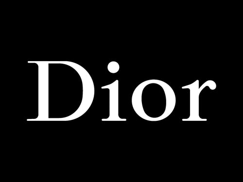 Dior Logo Iron-on Sticker (heat transfer)