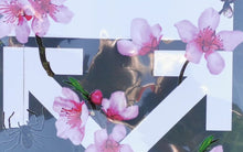 Charger l&#39;image dans la galerie, Off White Flowers Big Color Logo