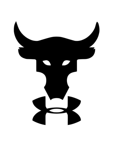 The Rock bull skull Uner Armour