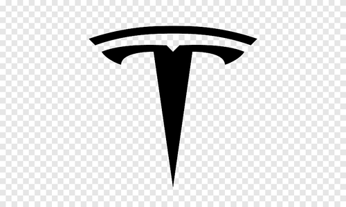 Tesla Logo for T-shirt Iron-on Sticker